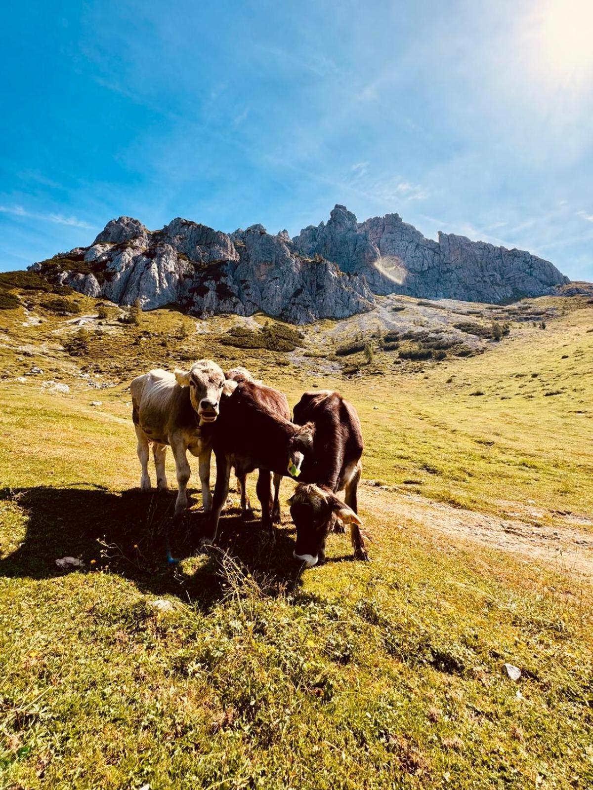 Stubihuettn Sonnenalpe Nassfeld Exterior foto